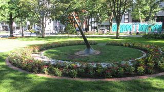 花に囲まれています