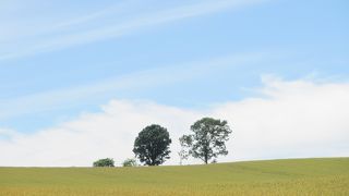 並んで立っています