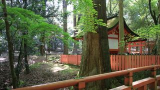 病気平癒や子授け祈願に