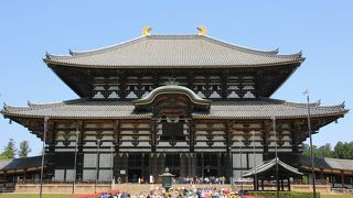 修学旅行では気づかなかった魅力を再発見