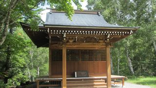 渓谷が眺められます