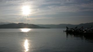 クッシーの住処