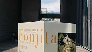 藤田嗣治展に行ってきました。