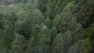 小高い山で地元に愛されていそう