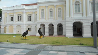 ハウス前に鳥のオブジェ