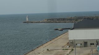 富山湾の海の幸