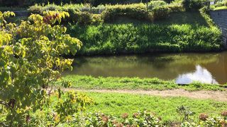 自然豊かなのどかな公園です