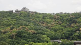 どこからも見られる