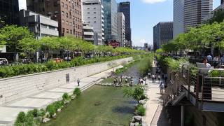 都会のオアシス