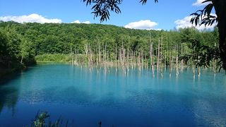 上富良野方面から行く場合は注意が必要