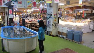 いか釣りができます