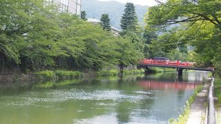 おしゃれなカフェが増えましたね、岡崎あたり。