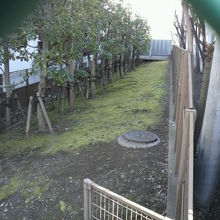 海幸橋のあった場所から築地川の支流の堤の跡が残っています。