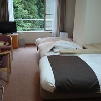 客室です。ベッドが3つもあり、部屋から見える景色も良いです。