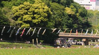 無料の割にはかなり楽しめる