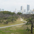 都心のオアシス的な庭園