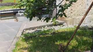 間欠泉センターのすぐ近くです