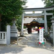 一宮巡詣～武蔵・小野神社