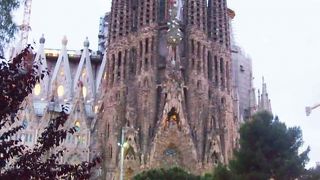 夕暮れの公園も人気のフォトスポット