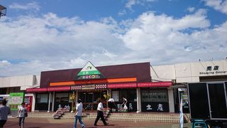 佐野ラーメン等のお店、フードコートに景色を眺められるスポットがある比較的大きなサービスエリア