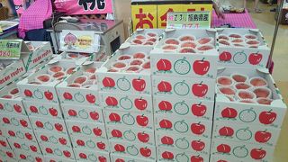 桃等の地元名産のお土産売り場に、伊達鶏メニューのレストラン、景色を眺めるスポット等、揃ってるサービスエリア。