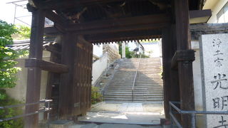 「蟠龍の松」は見ごたえです！