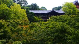 いつみても素晴らしい橋