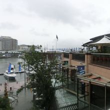 レストランから見た風景