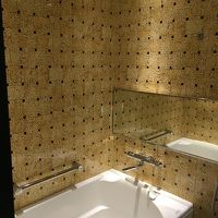 うちと同じ形家庭用バスででびっくり