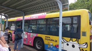 路線がたくさんです。