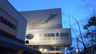 珍しいお魚がたくさん！