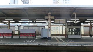 ディズニーランドへ往復で利用