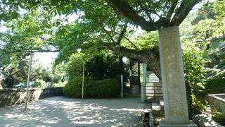 眺めは抜群です、登る価値あります！