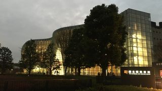 ニキ・ド・サンファル展