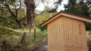 建礼門の方を見るならついでにどうぞ