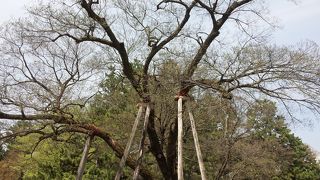 場所が分かりやすくていい。