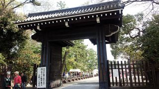 名前の由来が面白すぎる