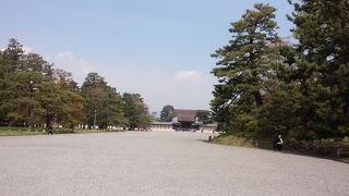 広大な憩いの場