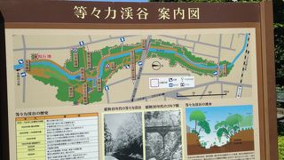 都会の中の避暑地