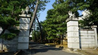 ひこにゃんの本家