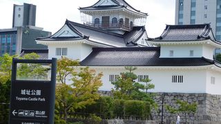  広々とした公園です