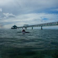 遠浅のビーチです