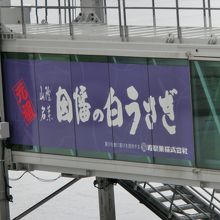 ボーディングブリッジは広告入りです。