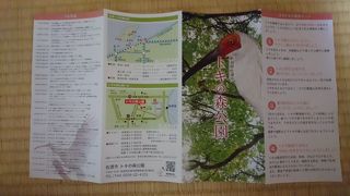 トキが近くで見られるかは運次第