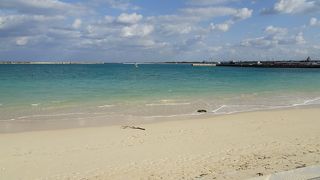 きれいだがハブクラゲに注意