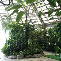 ジャングル風呂