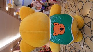 突然コアラのマーチの着ぐるみが