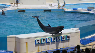 人気があるので立ち見も覚悟