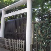 木々が生い茂り外観を見るだけでも結構雰囲気のある神社でしたが・・・