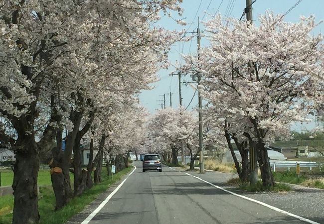 新家棟川橋通り